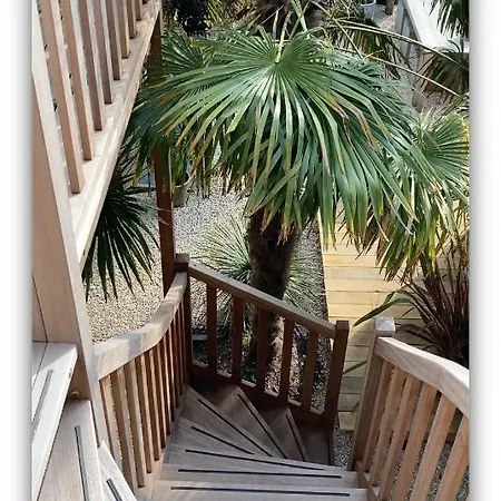 Magnolia Spring Boutique Bergen